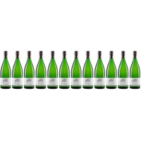 12x Müller-Thurgau trocken, 2022 - Weingut Albert Götz, Pfalz! Wein