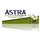Astra Rasierklingen Superior Platinum 10 St.