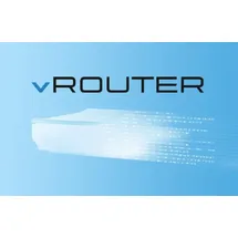 Lancom Systems vRouter 50 5 Jahre Win