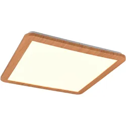 Deckenleuchte LED CAMILLUS