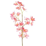 Kunstorchidee Künstlicher Zweig Odontoglossum Orchidee BELANIA, rosa-gelb, 75cm Orchidee (Orchidee odontoglossum), artplants rosa