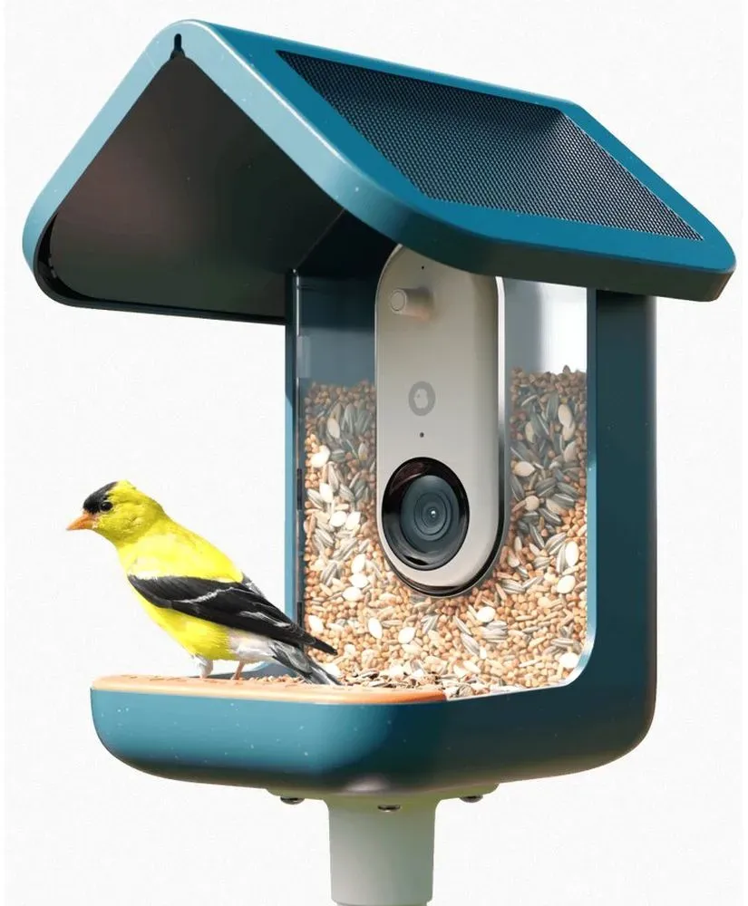 Bird Buddy 2.0 Smart Bird Feeder mit Solarpanel