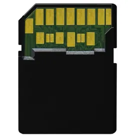 Delkin Devices Delkin BLACK UHS-II Rugged SD Card (V90) 64 GB
