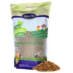 Lyra Pet Soldatenfliegenlarven 10 kg