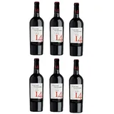 6 Flaschen Primitivo Negroamaro 14 a 0,75 L 13,5 % vol. Halbtrockener Rotwein