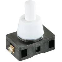 Bachmann Ausschalter 924.144