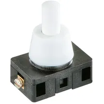 Bachmann Ausschalter 924.144