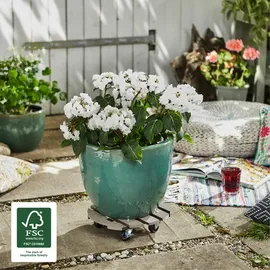 Wagner Pflanzenroller WPC Ø 29 x 7,5 cm taupe