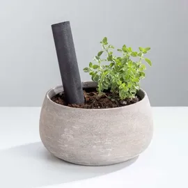Wpro Eco kompostierbare Wasserfilter schwarz