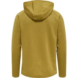 hummel Cima XK Hoodie Herren antique gold S
