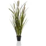 Emerald Künstliches Federborstengras - Patrizia | 85 cm