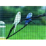 BETAFENCE Casanet grn 5m-Kurzr 12,7X0,65/0,90X1000 mm
