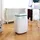 Meaco Luftentfeuchter 12L