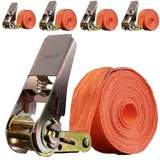 Baumarktplus Spanngurte mit Ratsche 6 m 1000 kg