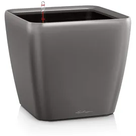 LECHUZA Quadro LS 21 Komplettset 21 x 21 x 21 cm anthrazit metallic