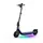 NINEBOT Segway-Ninebot F20 D E-Scooter (10 Zoll, Schwarz)