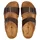 HAFLINGER Bio Andrea Braun 40