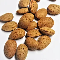 (1kg=35,90€) 100g Mandeln mit Schale (Krachmandeln) ganz