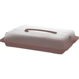 Rotho Partybutler JOHN medium iron rot Kuchentransportbox