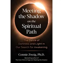 Inner Traditions/Bear & Company Meeting the Shadow on the Spiritual Path: von Connie Zweig / Inner Traditions/Bear & Company / Taschenbuch