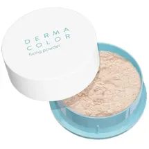 Kryolan GmbH Dermacolor Camouflage Fixierpuder small P11