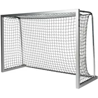 Sport-Thieme Kleinfeld-Fußballtor BlueGoal In Bodenhülsen