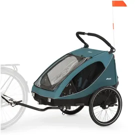 hauck Dryk Duo Kinderanhänger Ocean Green
