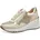 in CREAM Comb 41