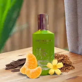 Pendora Scents Pendora Oud Urlaub Eau de Parfum 100 ml