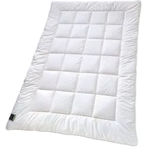 billerbeck Bettdecke ALCANDO® – 155 x 220 cm – warme Winterdecke – weiche Decke für kalte Nächte