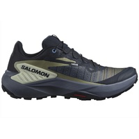 Salomon Damen Laufschuhe Salomon Genesis W Carbon/Grisaille/Aloe Wash UK 4,5 - grau