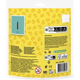 LEGO Animal Crossing Jimmys Strandgemälde 30703