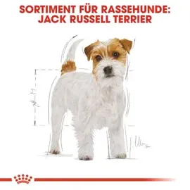 Royal Canin Jack Russell Adult 3 kg