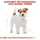Royal Canin Jack Russell Adult 3 kg