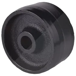 Sw Stahl Starres Rad [Hersteller-Nr. 20731L-2]