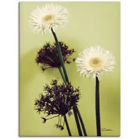 ARTland Wandbild »Zwei vor grün - Gerberas«, Blumenbilder, (1