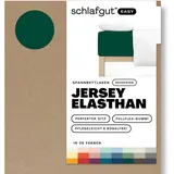 schlafgut Easy Jersey Elasthan Boxspring 180 x 200 - 200 x 220 cm green deep