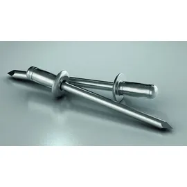GESIPA Blindniettechnik GmbH PolyBulb Blindniete Alu/Stahl Flachrundkopf 4,8 x 11 mm