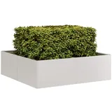 vidaXL Pflanzkübel 100x100x30 cm Edelstahl