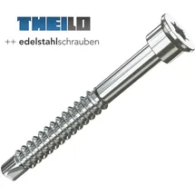 THEILO SopaBohrFix Ø 4,8 x 48 mm Torx 25 150 Stück