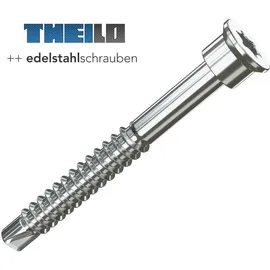 THEILO SopaBohrFix Ø 4,8 x 48 mm Torx 25 150 Stück