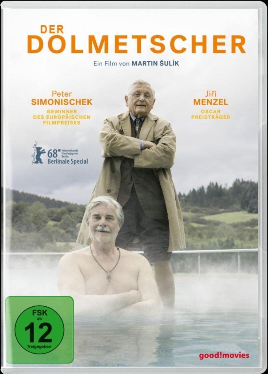 Der Dolmetscher (DVD)