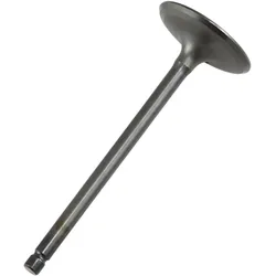 Einlassventil Prox Stahl xTx 660