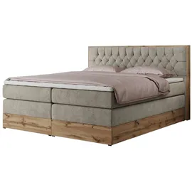 MKS Amore King 200 x 200 cm H3 Beige