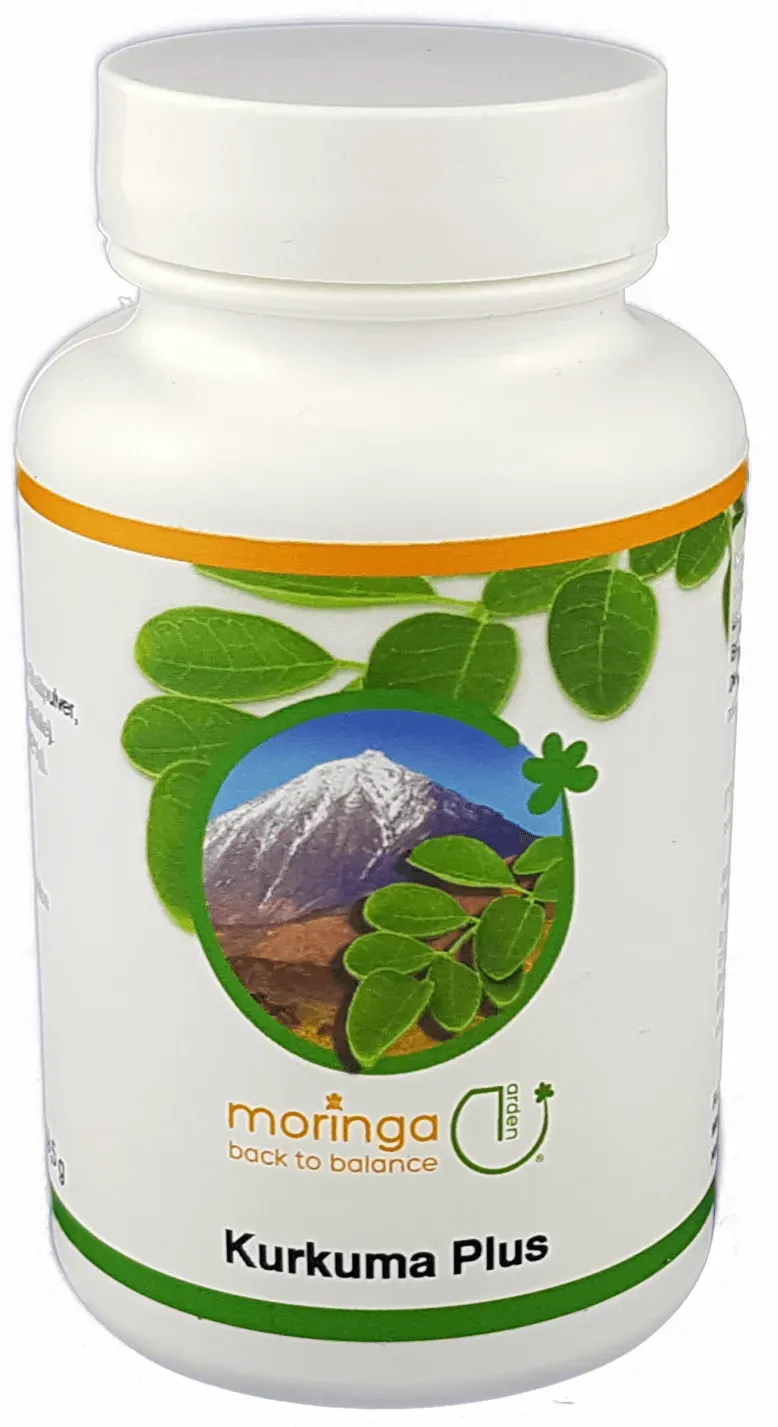 Curcuma Plus Kapseln (100 Stück) - MoringaGarden