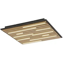 Paul Neuhaus Wand- und Deckenleuchte Q-AKUS Q-AKUSTIK - B/H/T ca. 62,00x6,00x62,00