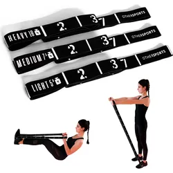 Fitnessband Schlaufenband Bundle mit acht nummerierten Schlaufen One Size