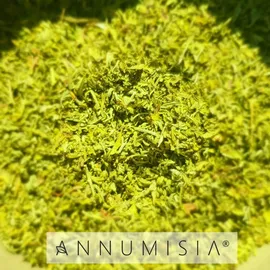 annumisia¬æ Artemisia Annua Blätter 50 g