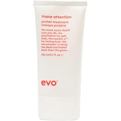 evo Mane Attention Protein Treatment 150 ml