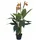 Europalms Strelizie, Kunstpflanze, 90cm
